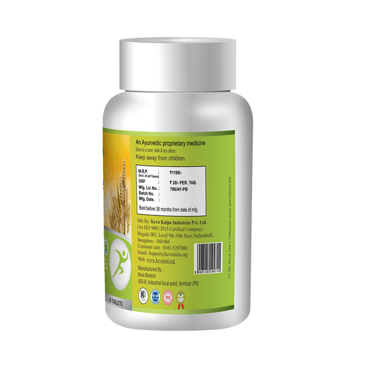 Keva Active Fiber Tablets